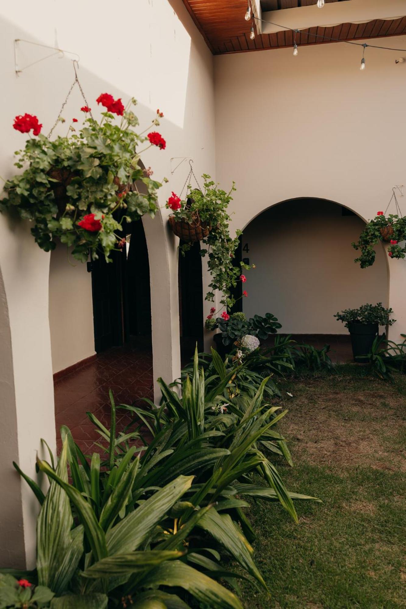 Hotel Boutique Rebequet Boquete Luaran gambar