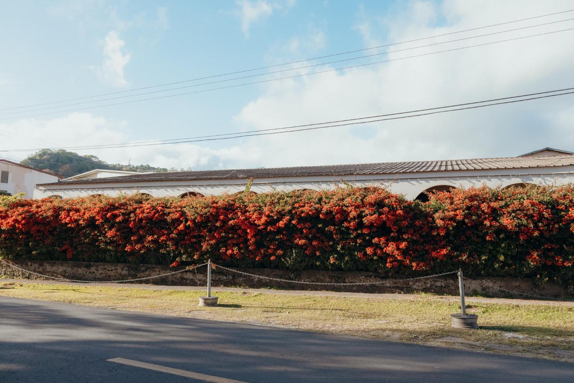 Hotel Boutique Rebequet Boquete Luaran gambar